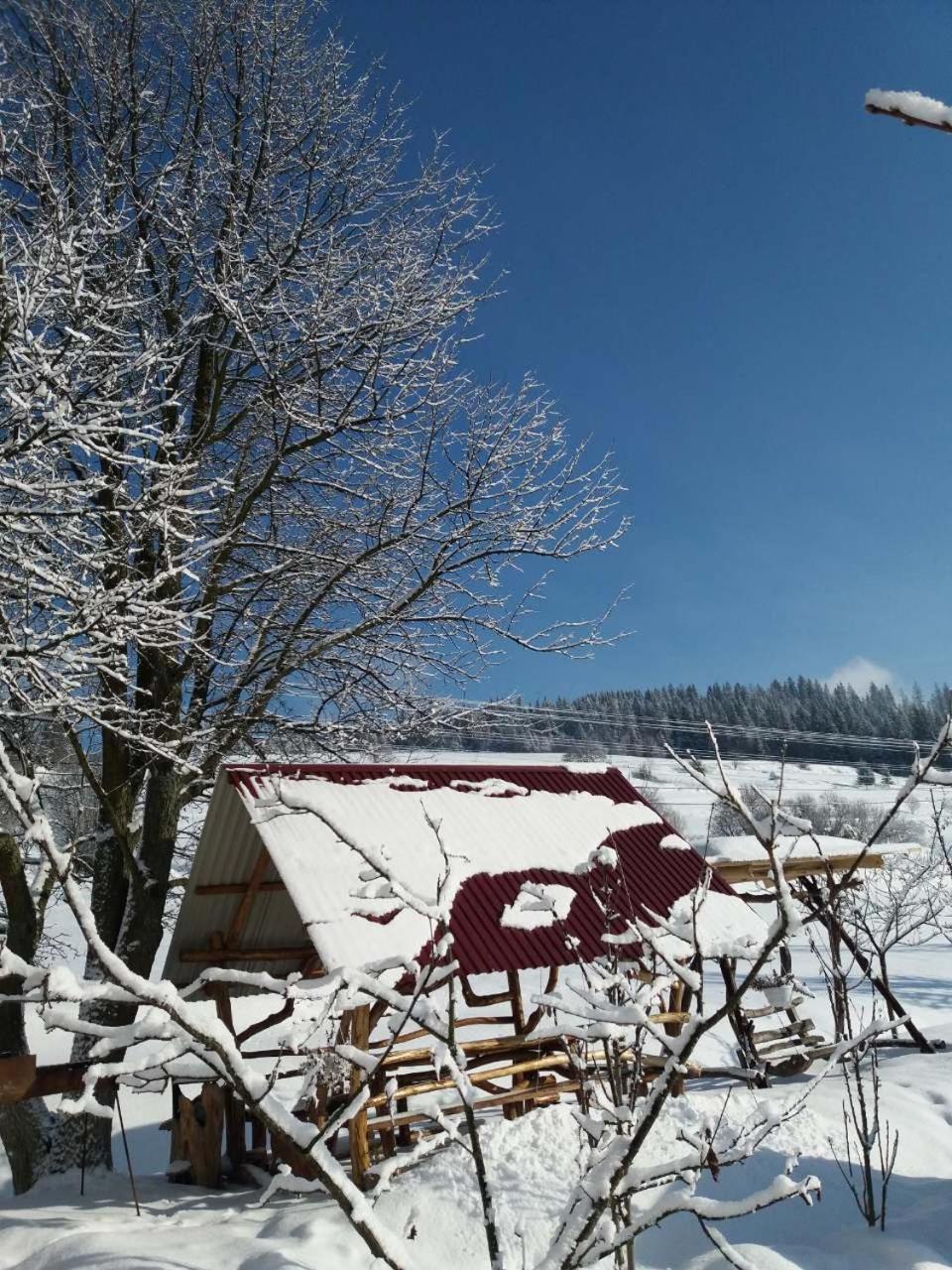 Hotel Gostynna Rodyna Izky Exterior foto